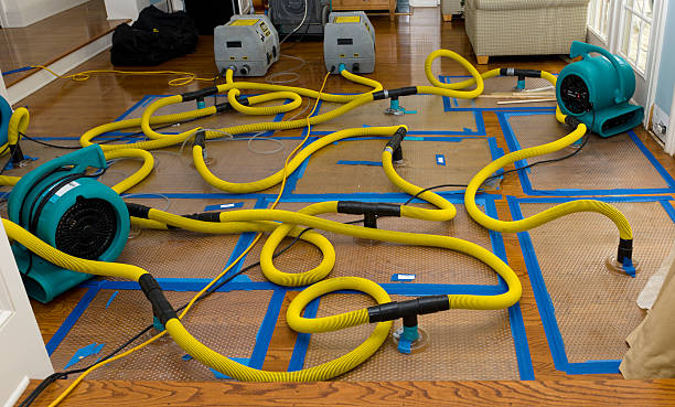 Professional Basement Flood Cleanup technician working in Faxon, PA